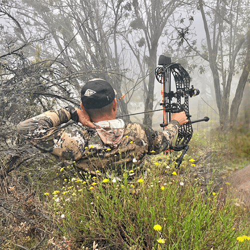 t-series hunting bow gearhead archery
