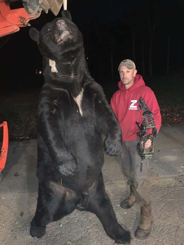 World Record Black Bear shot with a Gearhead T18